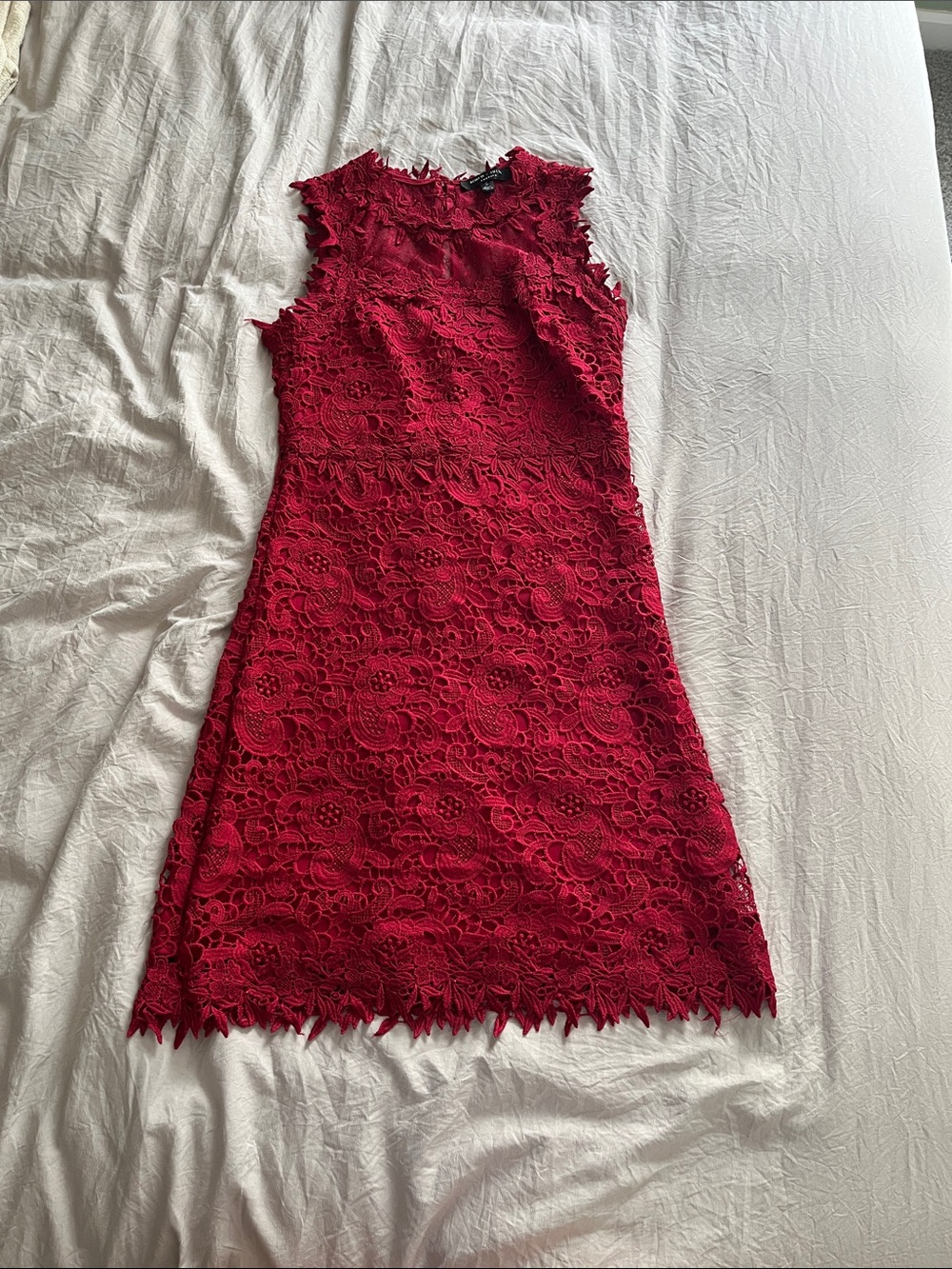 Romeo & Juliet Couture Red Floral Lace Mini Dress